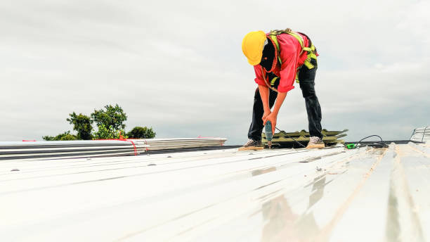 Best Solar Panel Roofing Installation  in River Grove, IL